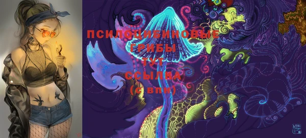 первитин Абинск