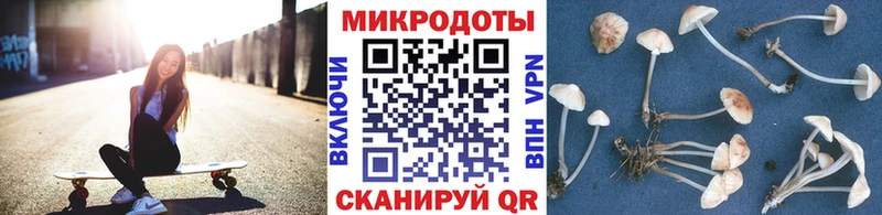 как найти наркотики  Новоалександровск  Псилоцибиновые грибы прущие грибы 